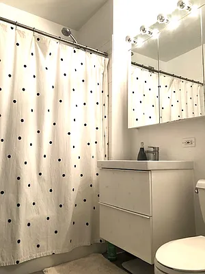 Rented by NY Living Solutions | media 11