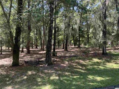 83 Pipedown Landing Dr, Pawleys Island, SC, 29585