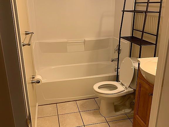 Lower Level Bathroom