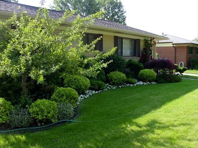 1st image of 39248 Poinciana Dr
