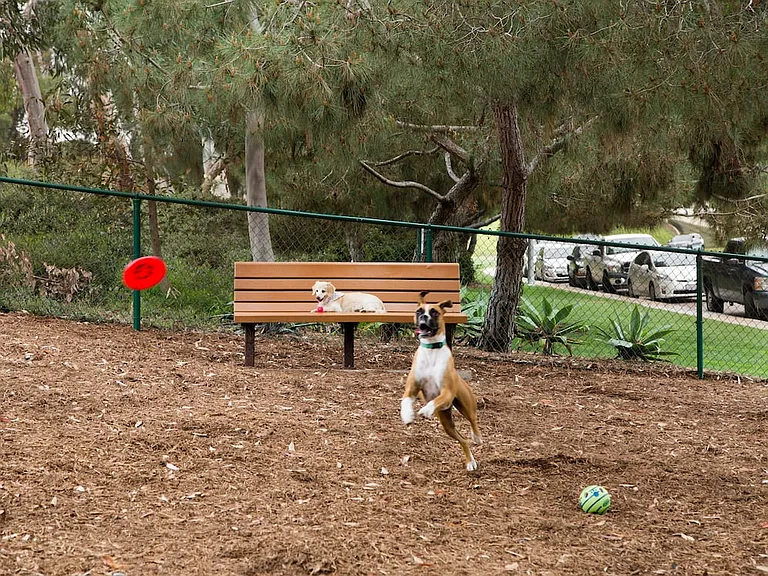 Public Dog Park Adjacent to Community