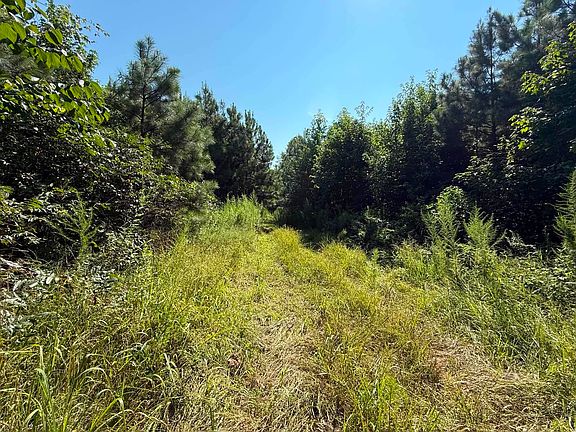 3rd image of 5100 County Road 85