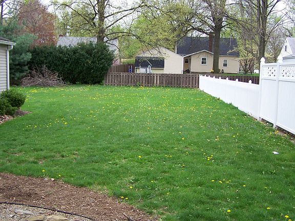 Awesome Backyard!!