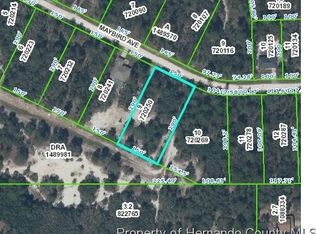 Maybird Ave, Weeki wachee, FL 34613