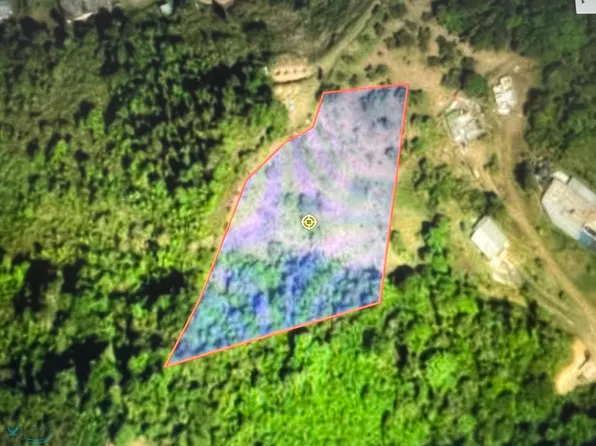 Km 26.0 Carr #155, Orocovis, PR 00720