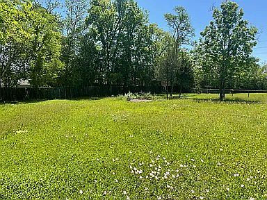 Spacious back yard