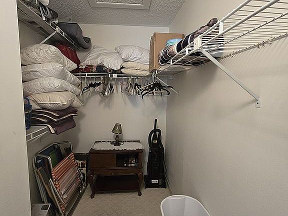 Master Bed Closet/Attic