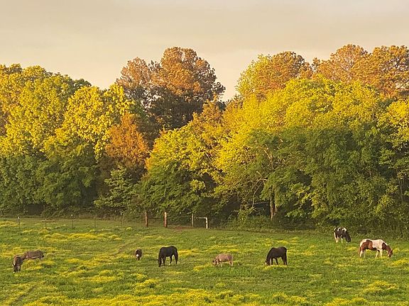 39th image of this home