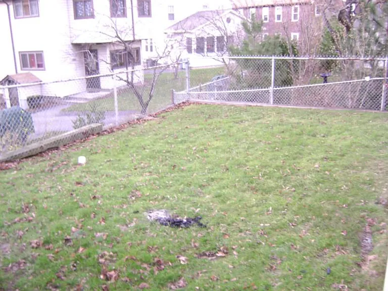 Harriet Ave — Photo 20