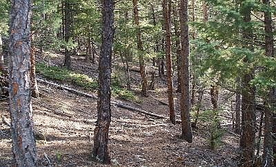 2nd image of Elk Vly Lot 4