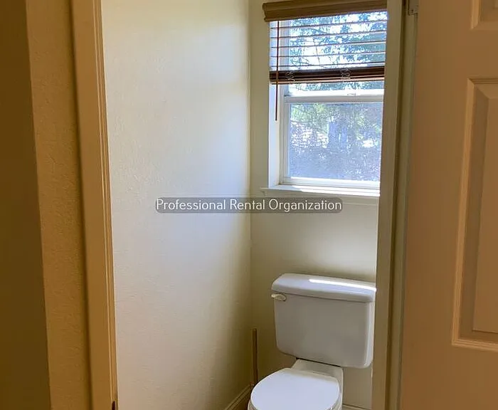 518 Quaking Aspen Ln — Photo 21