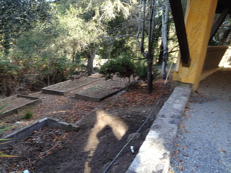Carson Rd — Photo 11