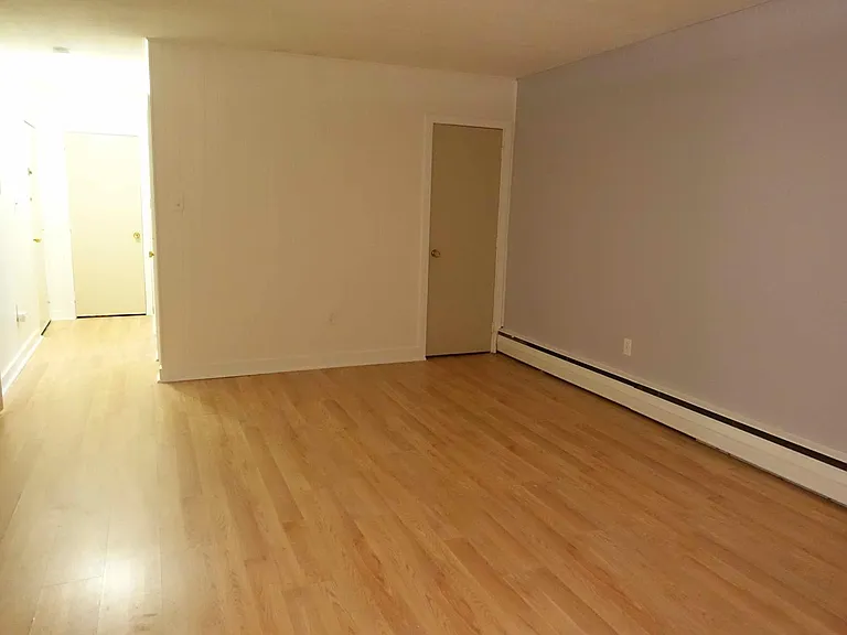 Living room/Dining room, facing closet and hallway (with two additional closets).