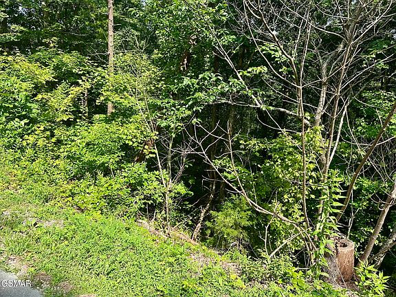 4th image of 0 Dogwood Dr