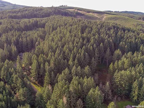 4th image of 29750 Bartels Creek Dr