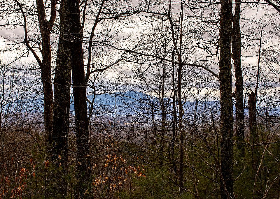 Mountain Views 