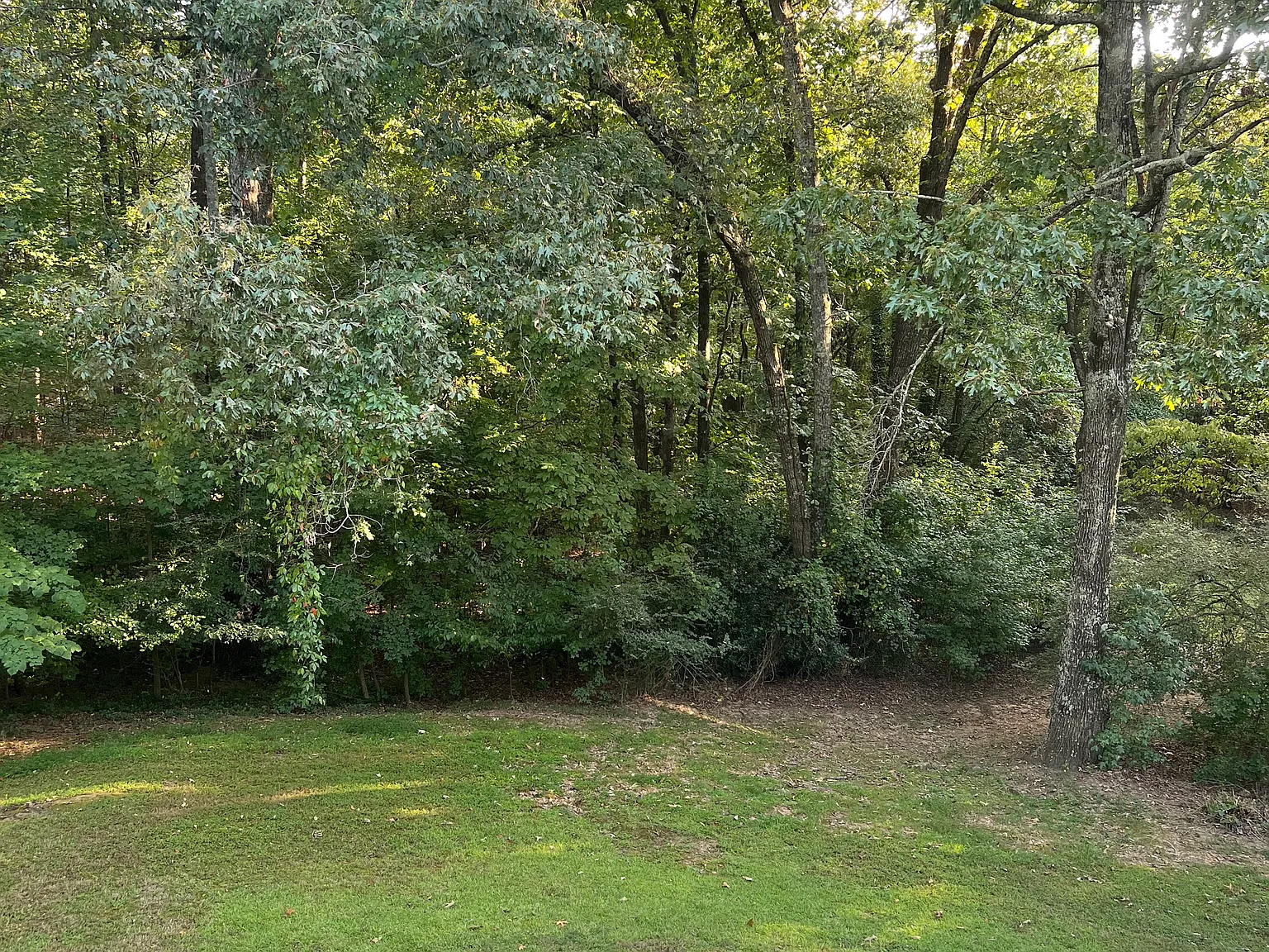 Riverside Rd, Sugar Hill — Photo 2