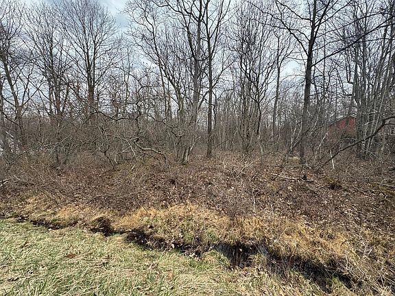 4th image of LOT 895 Hornbeam Ct