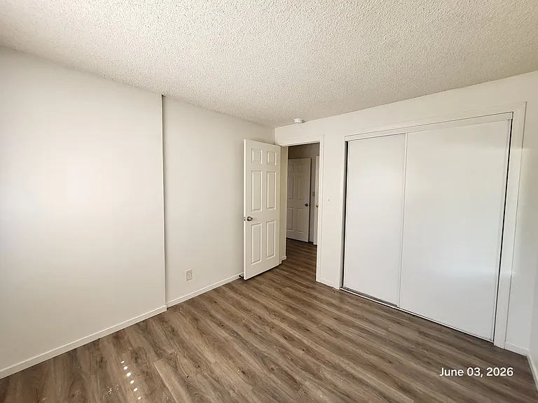4456 Buena Vista Dr — Photo 15