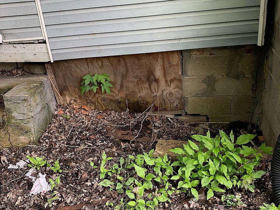 1st image of 48 Bachtel Ave