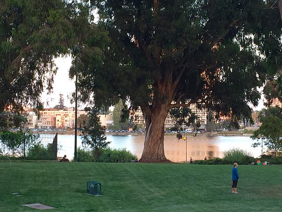 Lake Merritt view from balcony