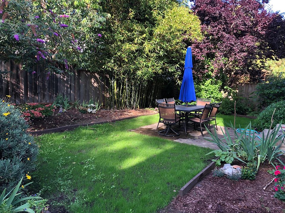 Backyard!