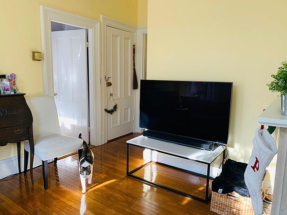 More living room photos, door on left leads to bedroom. Cat not included!