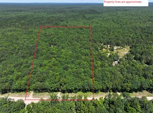 V/l E Hasenbank Rd, Free Soil, MI 49411