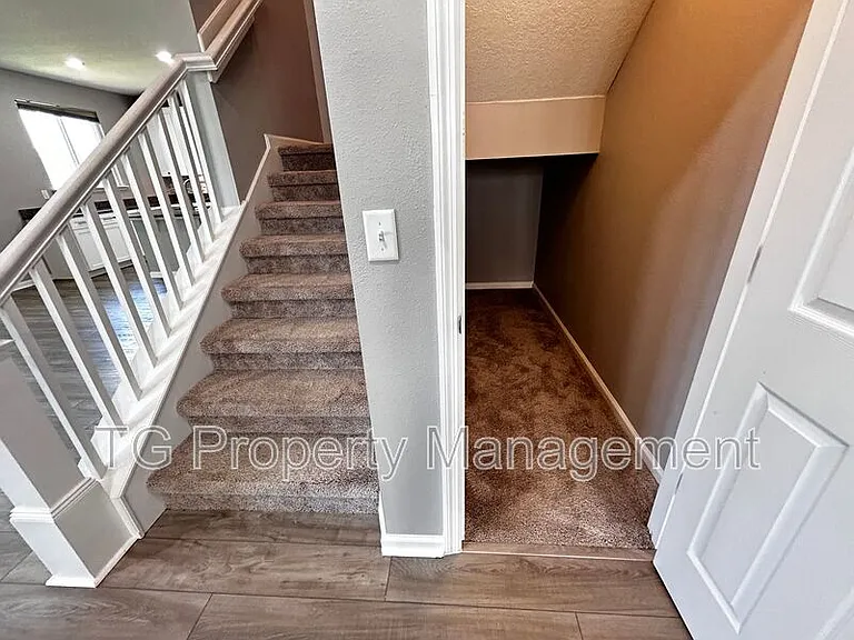 11646 Pacific Dogwood Ct — Photo 23