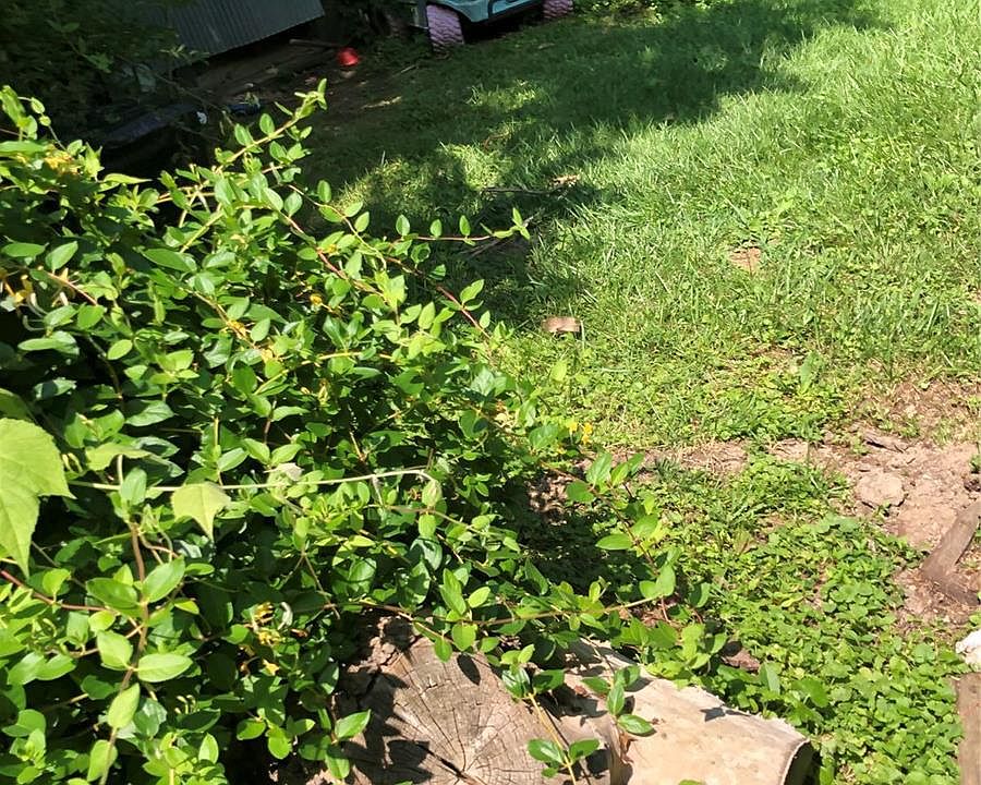 4503 Jarvis Rd, Hillsboro, MO 63050 Zillow