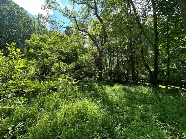 0 Bessemer Ln, Eagle Rock, VA 24085