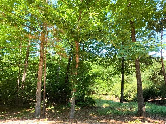 5th image of 119 Woods Dr