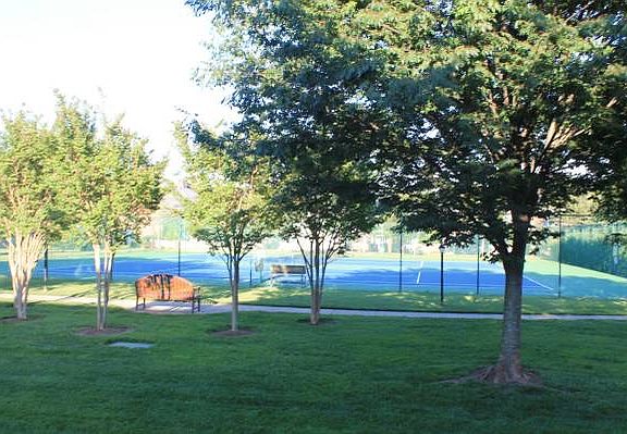 Backyard and Tennis Court