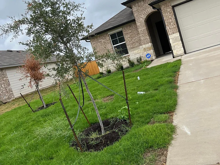 205 Lily Pond Trl — Photo 3