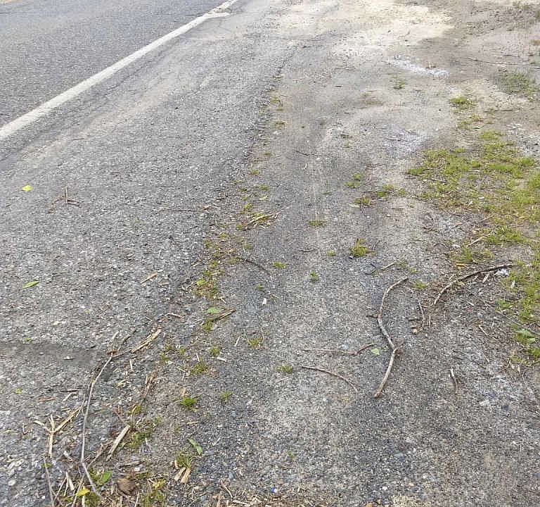2nd image of Mitchell Ave