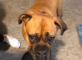 120 Green Valley Rd, Scotts Valley, CA 95066