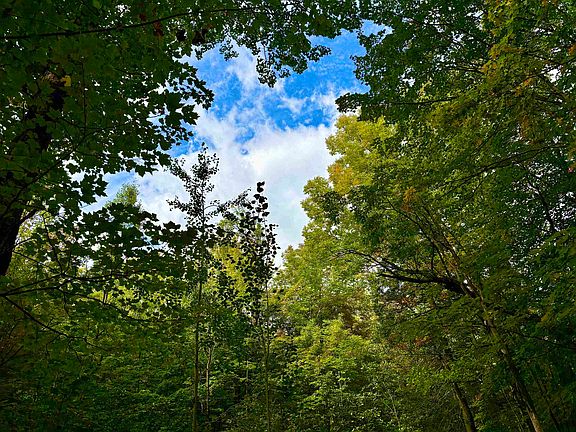 4th image of 0 Partridge Hollow Road