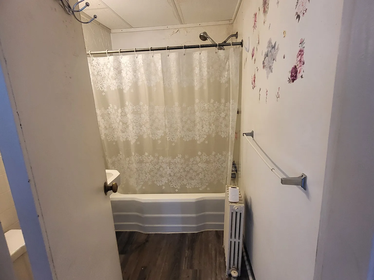 1 bed, $650 — Photo 4