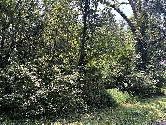 4th image of 0 Virginia St