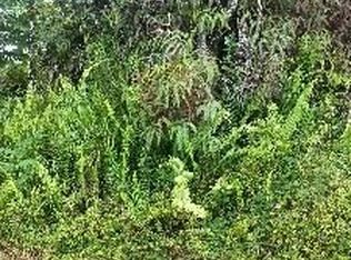 Mauna Kea Rd LOT 835, Pahoa, HI 96778