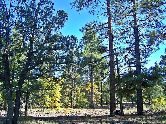 3rd image of 2640 Rock Springs Ct