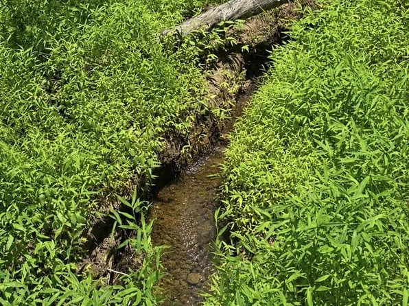LOT 3469 Fir Ln, Ellijay, GA 30540