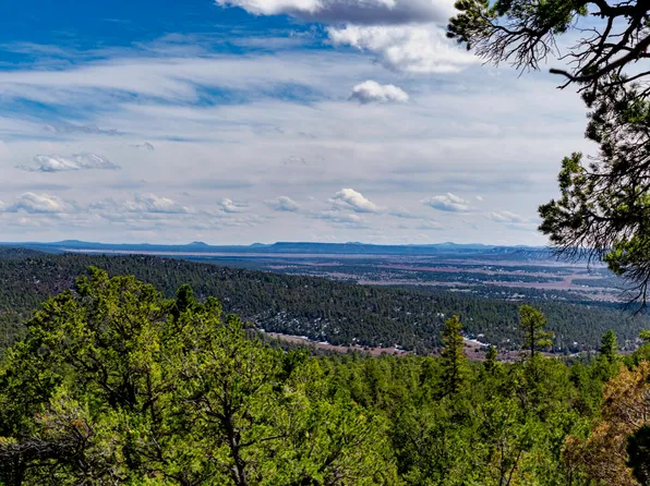 0 Forest Rd, Ramah, NM 87321