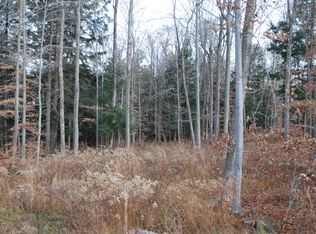 Lot 83 - The Woods At Duck Harbor, Equinunk, PA 18417