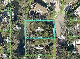 8175 Anchor Point Dr, Weeki Wachee, FL 34607