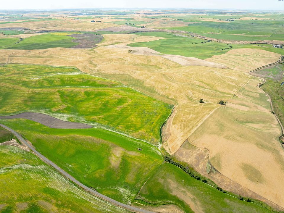 1st image of Bongarts Rd