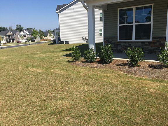 View of Left Side Yard 