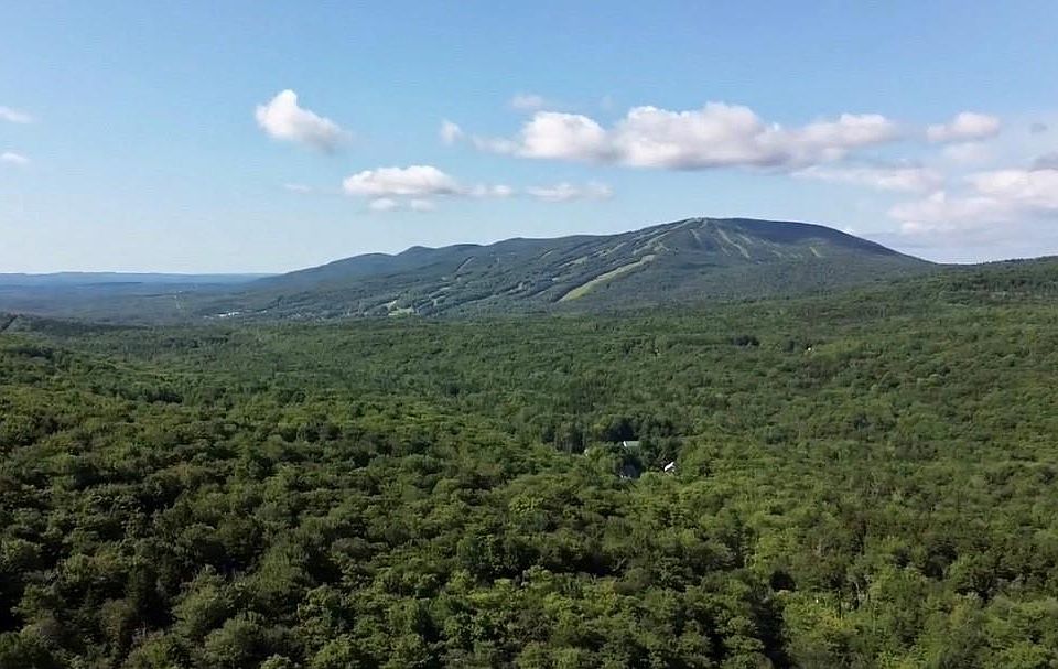 706 State Route 100, West Wardsboro, VT 05360 Zillow