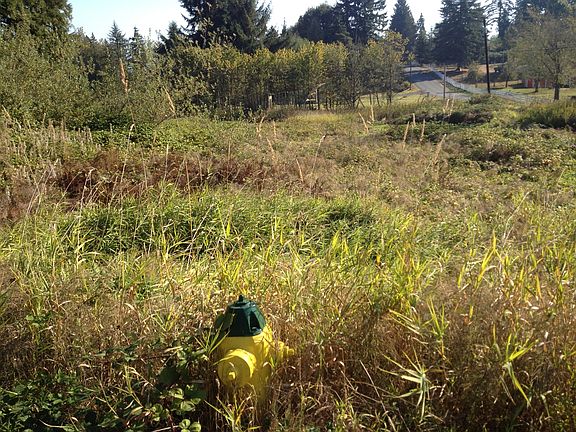 4th image of 1115 123rd Ave SE