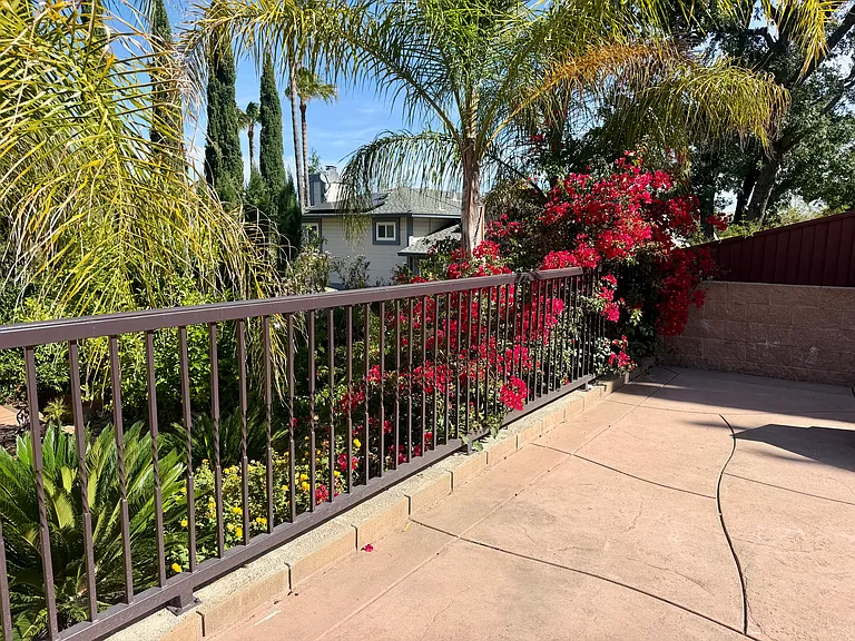 5205 Skyler Ct — Photo 66